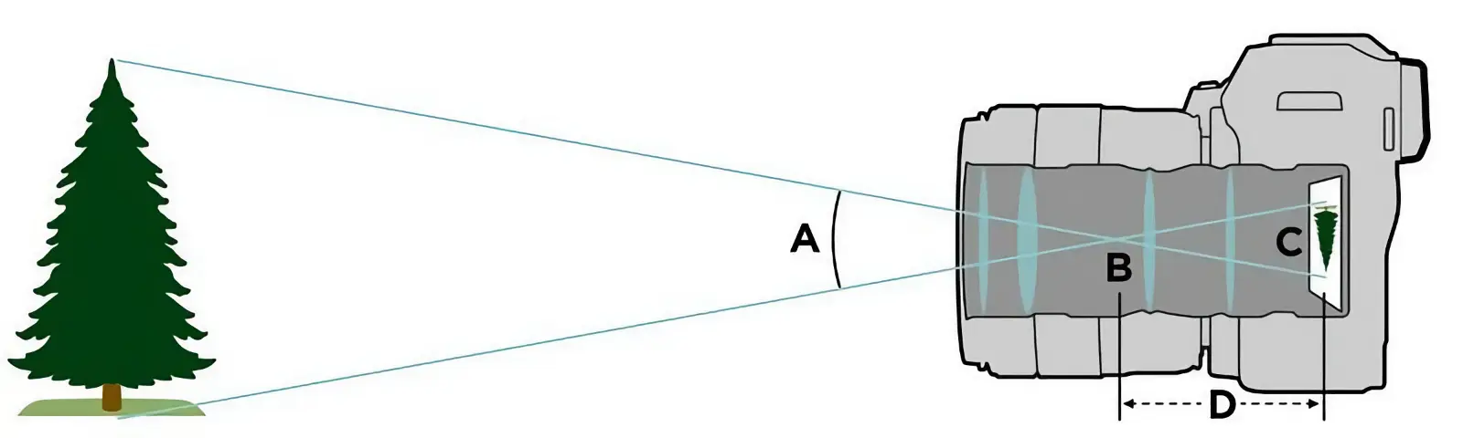 팬포커스 : 찍는법, 조리개, 아웃포커스 차이_01