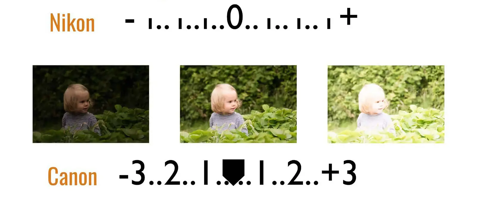 카메라 노출계 이해하기 : ( -2, -1, 0, +1, +2 )