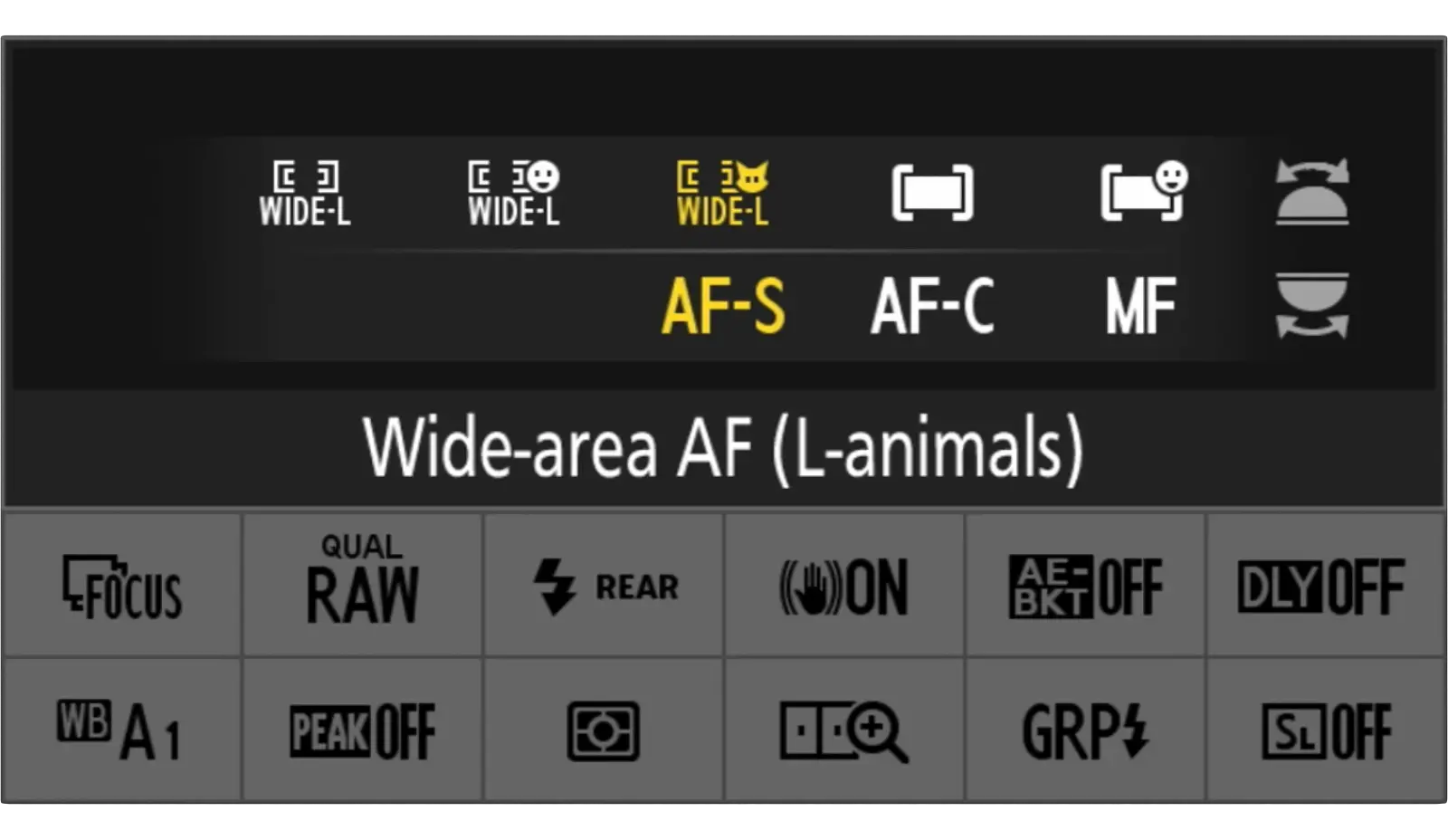 카메라 초점 모드 마스터 : AF-S, AF-C, MF_01